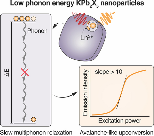We develop phonon-engineered, lanthanide-doped upconverting nanoparticles with the lowest phonon energies available to date. Low-phonon-energy KPb2X5 (X=Cl, Br) upconverting nanoparticles exhibit dramatically suppressed multiphonon relaxation, enhancing upconversion emission from higher lanthanide excited states and enabling the first room-temperature observation of avalanche-like upconversion by Nd3+ ions.