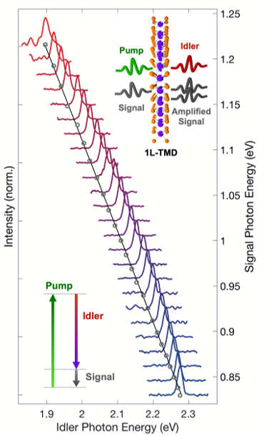 Optical Parametric Response of a TMD monolayer versus wavelength 