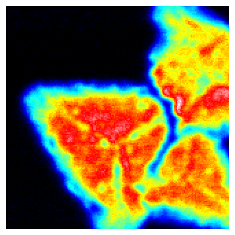 MoS2 Nano PL Intensity Grain Boundaries