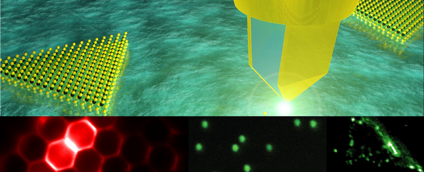 images representing the topical range of ongoing research in the Schuck Lab